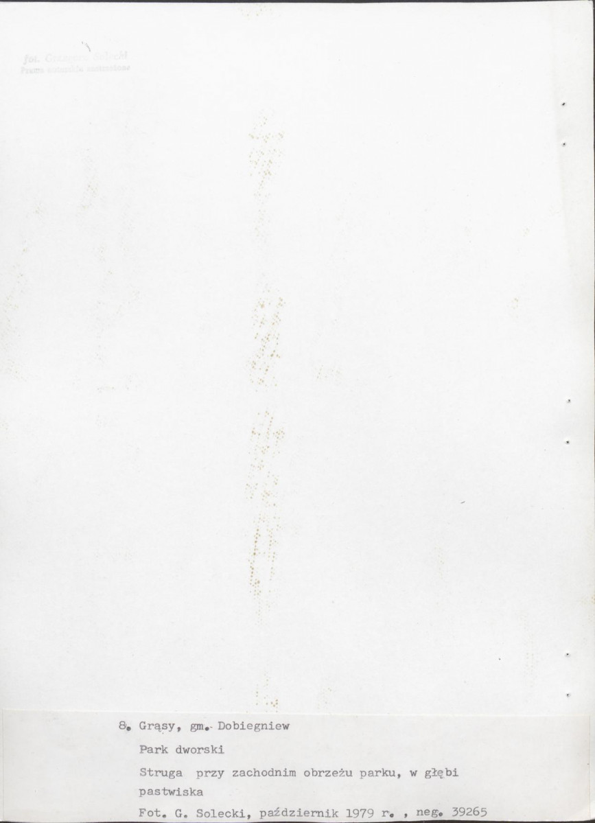 Ewidencja parkowa, skan nr 36