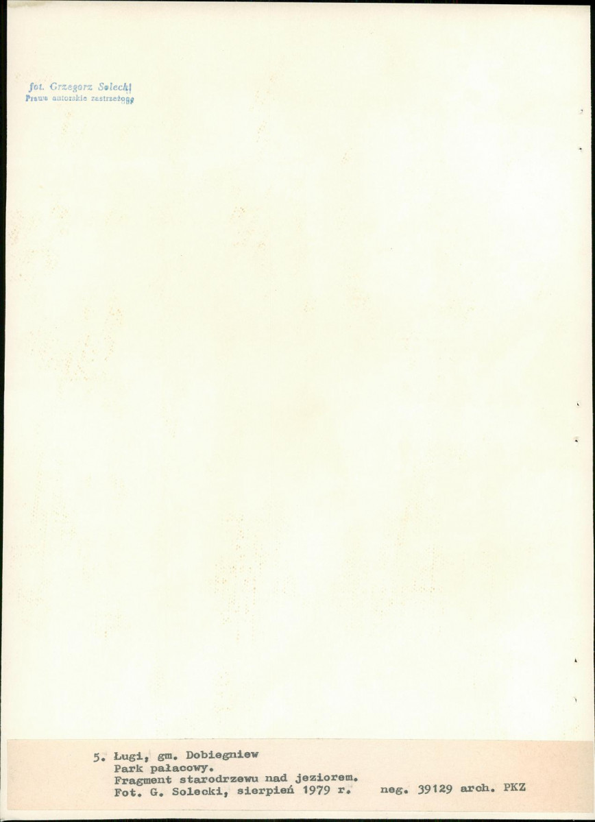 Ewidencja parkowa, skan nr 33