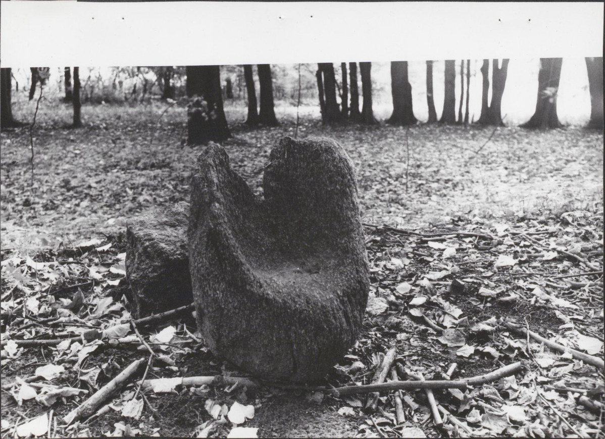 Ewidencja parkowa, skan nr 39