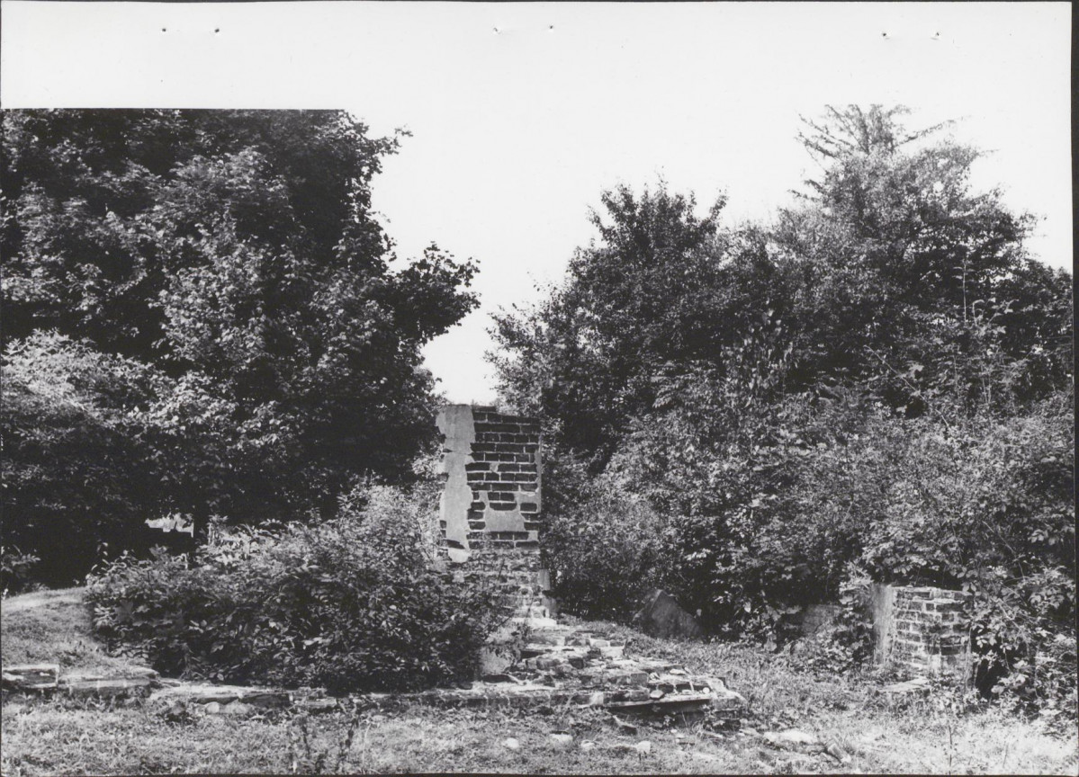 Ewidencja parkowa, skan nr 43