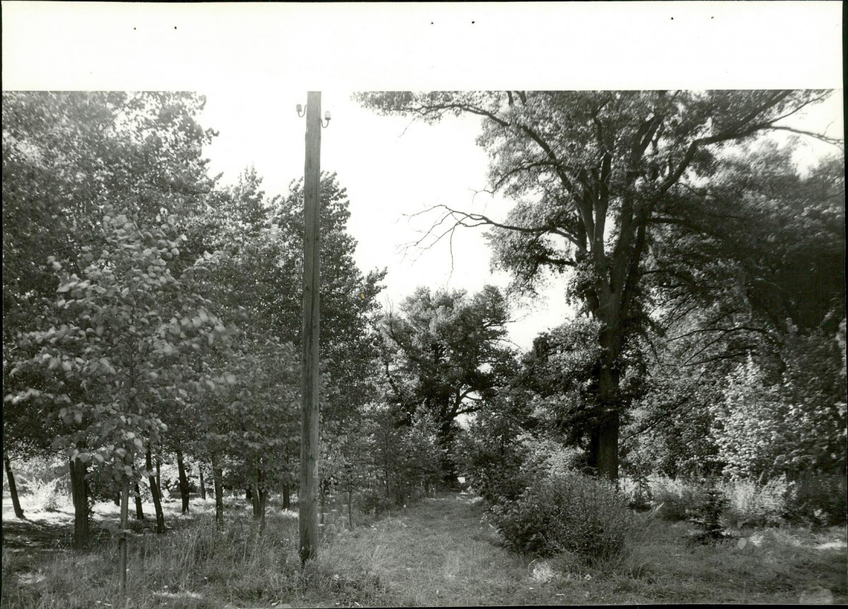 Ewidencja parkowa, skan nr 22