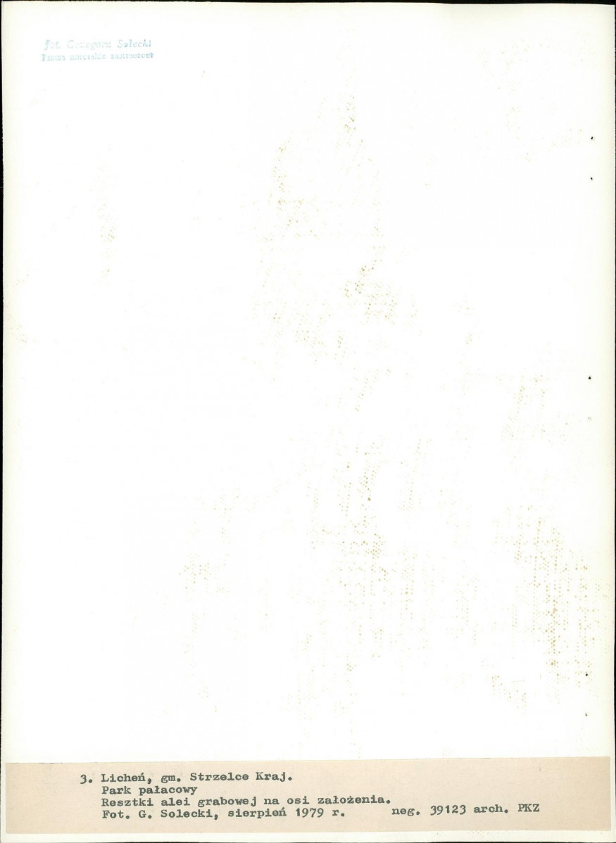 Ewidencja parkowa, skan nr 25
