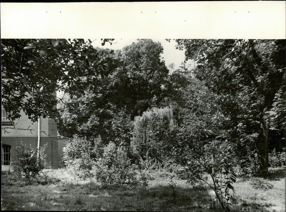 Ewidencja parkowa, skan nr 27