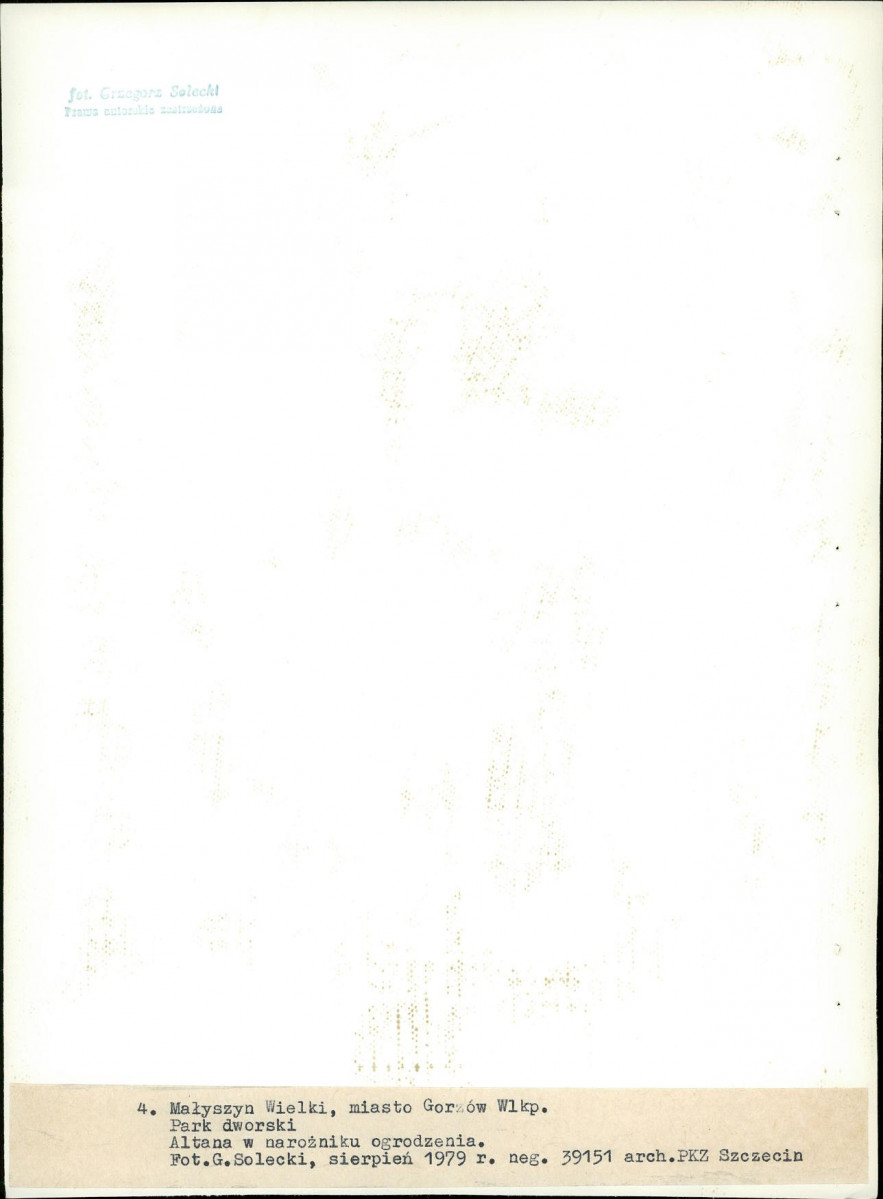 Ewidencja parkowa, skan nr 30