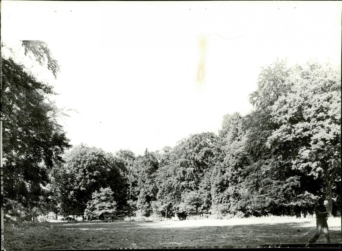 Ewidencja parkowa, skan nr 22