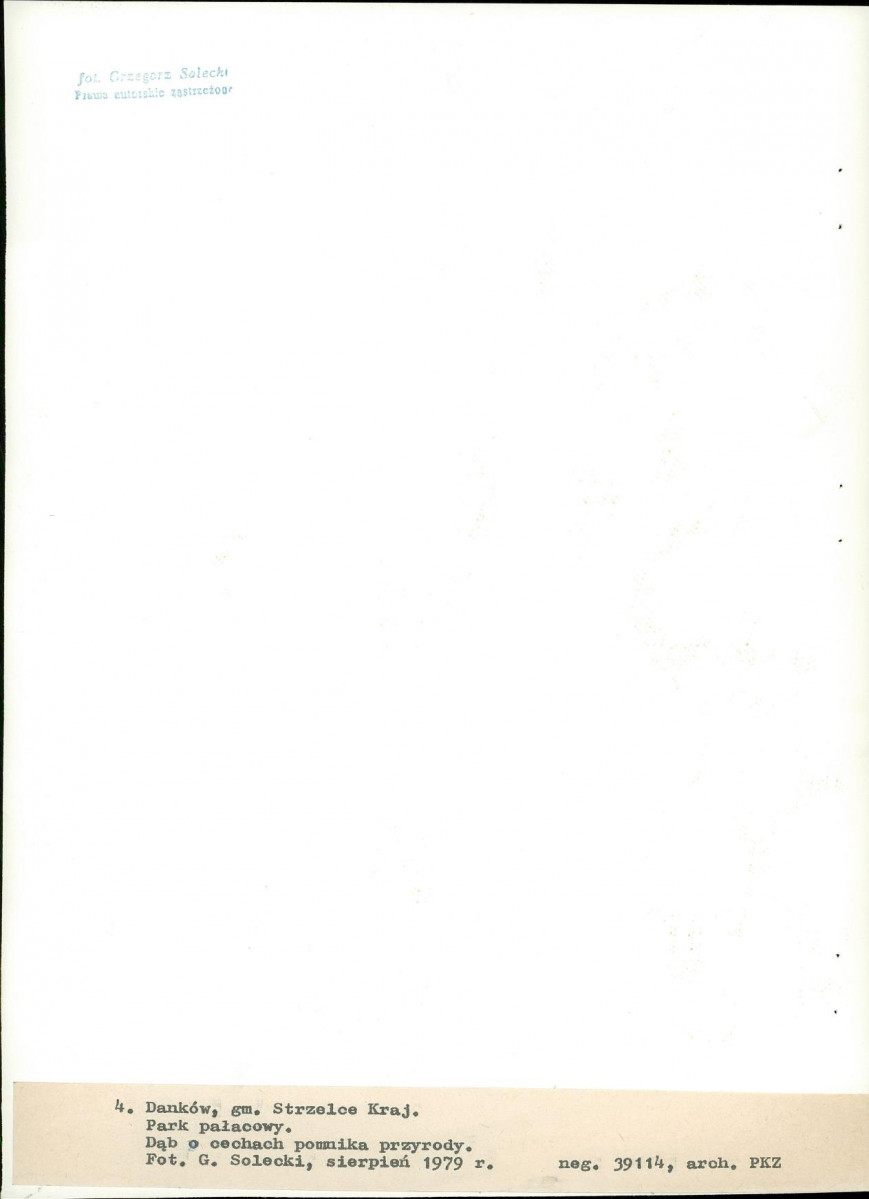 Ewidencja parkowa, skan nr 29
