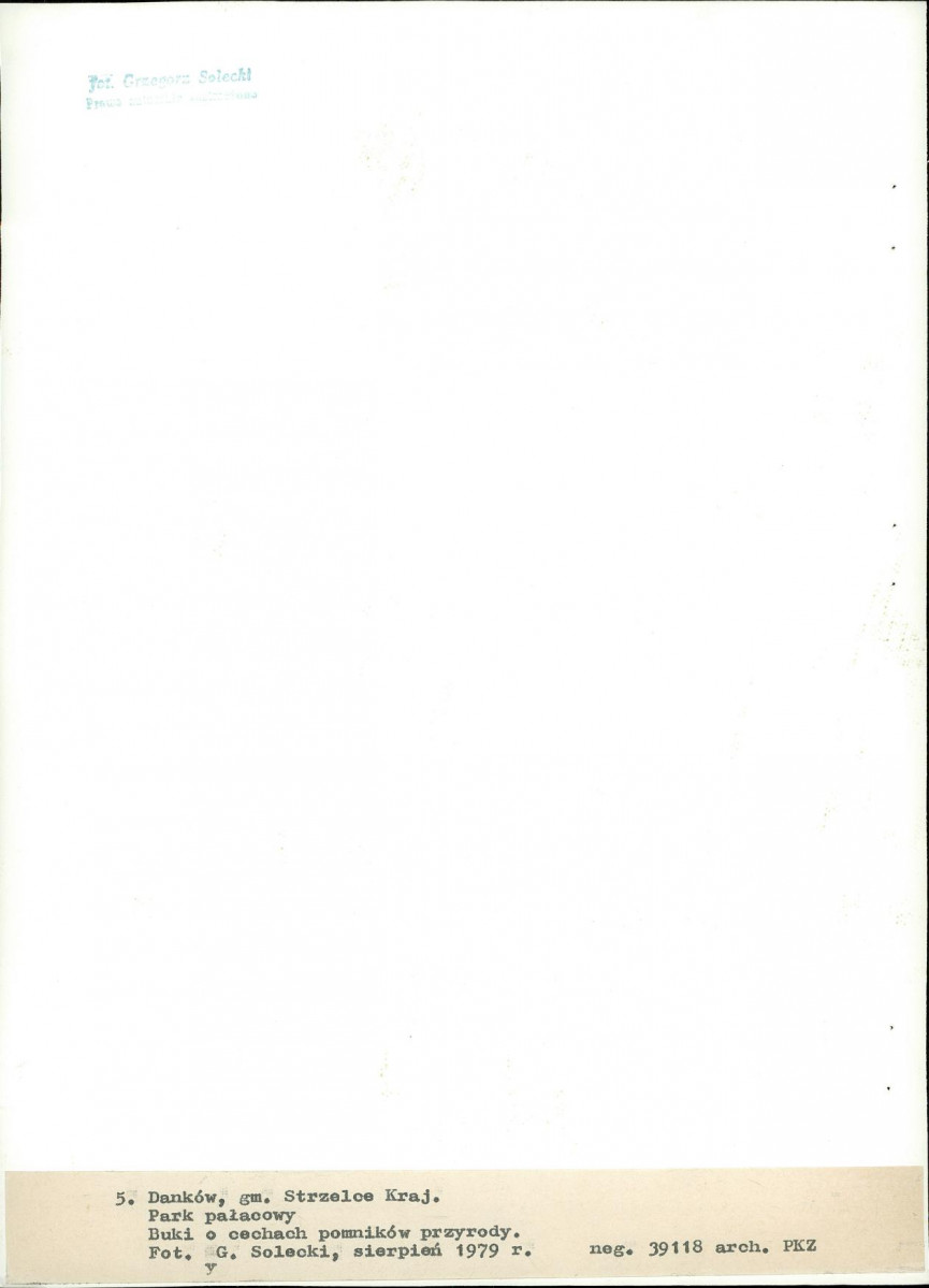 Ewidencja parkowa, skan nr 31