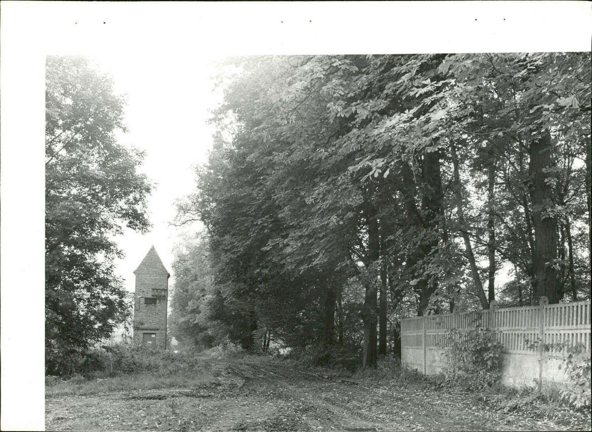 Ewidencja parkowa, skan nr 23