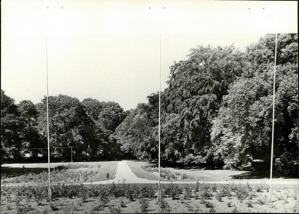 Ewidencja parkowa, skan nr 29