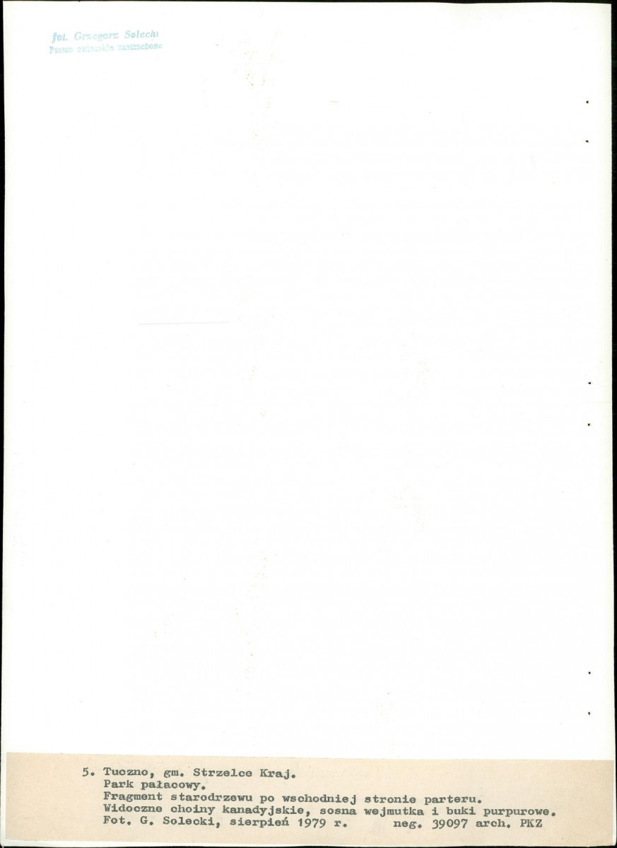 Ewidencja parkowa, skan nr 32