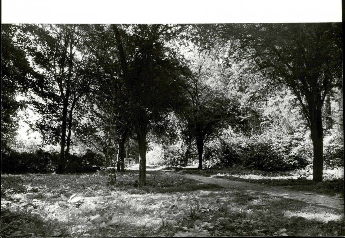 Ewidencja parkowa, skan nr 33