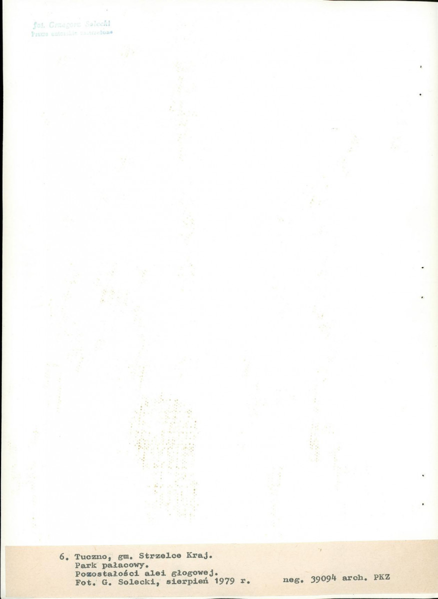 Ewidencja parkowa, skan nr 34