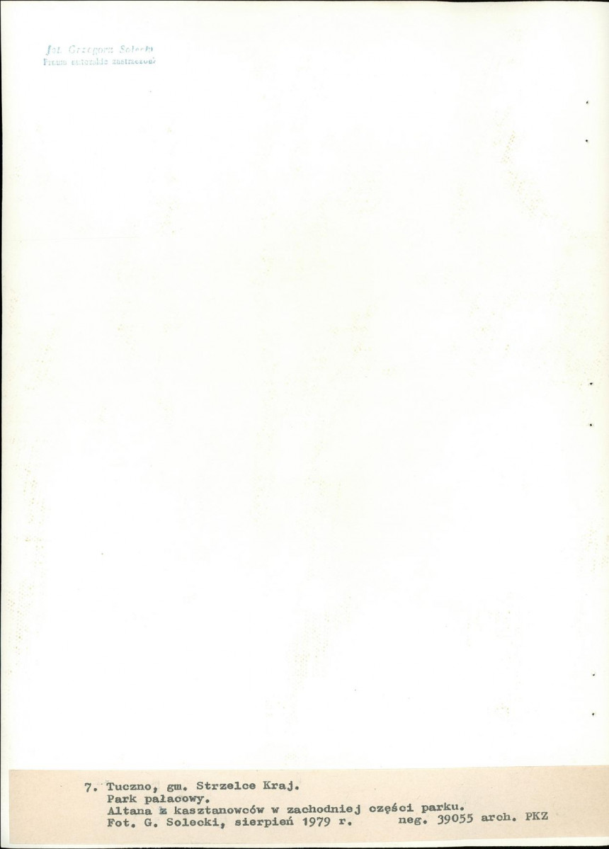 Ewidencja parkowa, skan nr 36