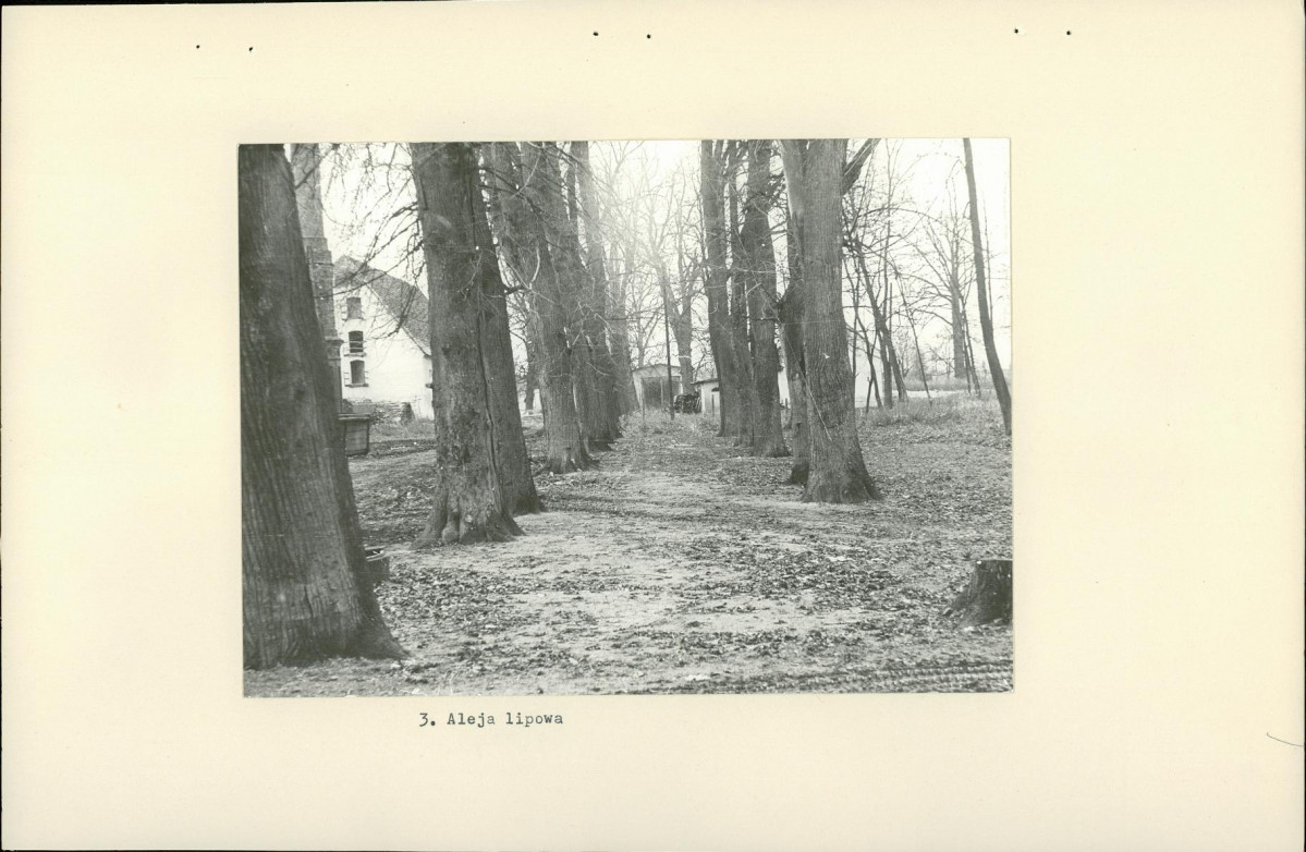 Ewidencja parkowa, skan nr 16