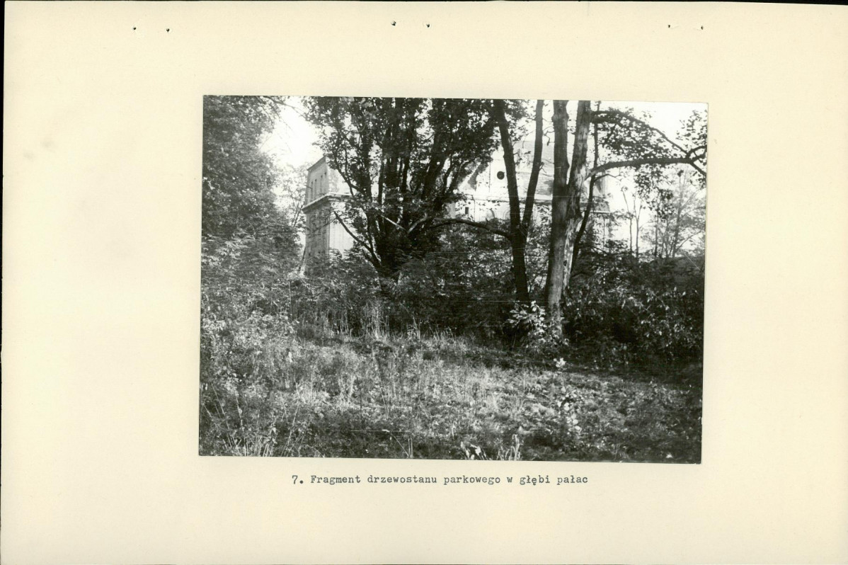 Ewidencja parkowa, skan nr 20