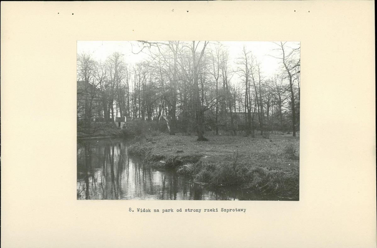 Ewidencja parkowa, skan nr 21
