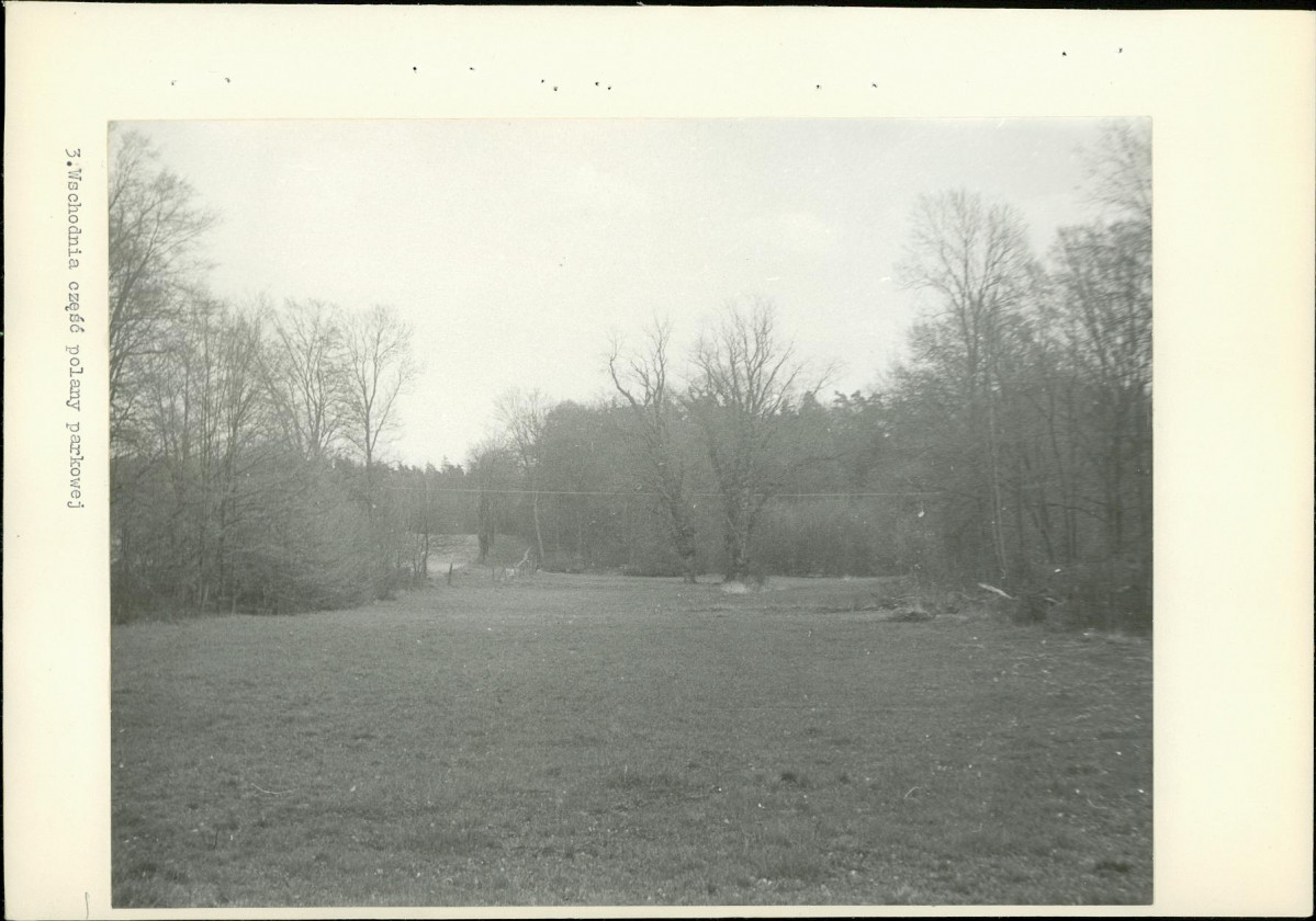 Ewidencja parkowa, skan nr 16