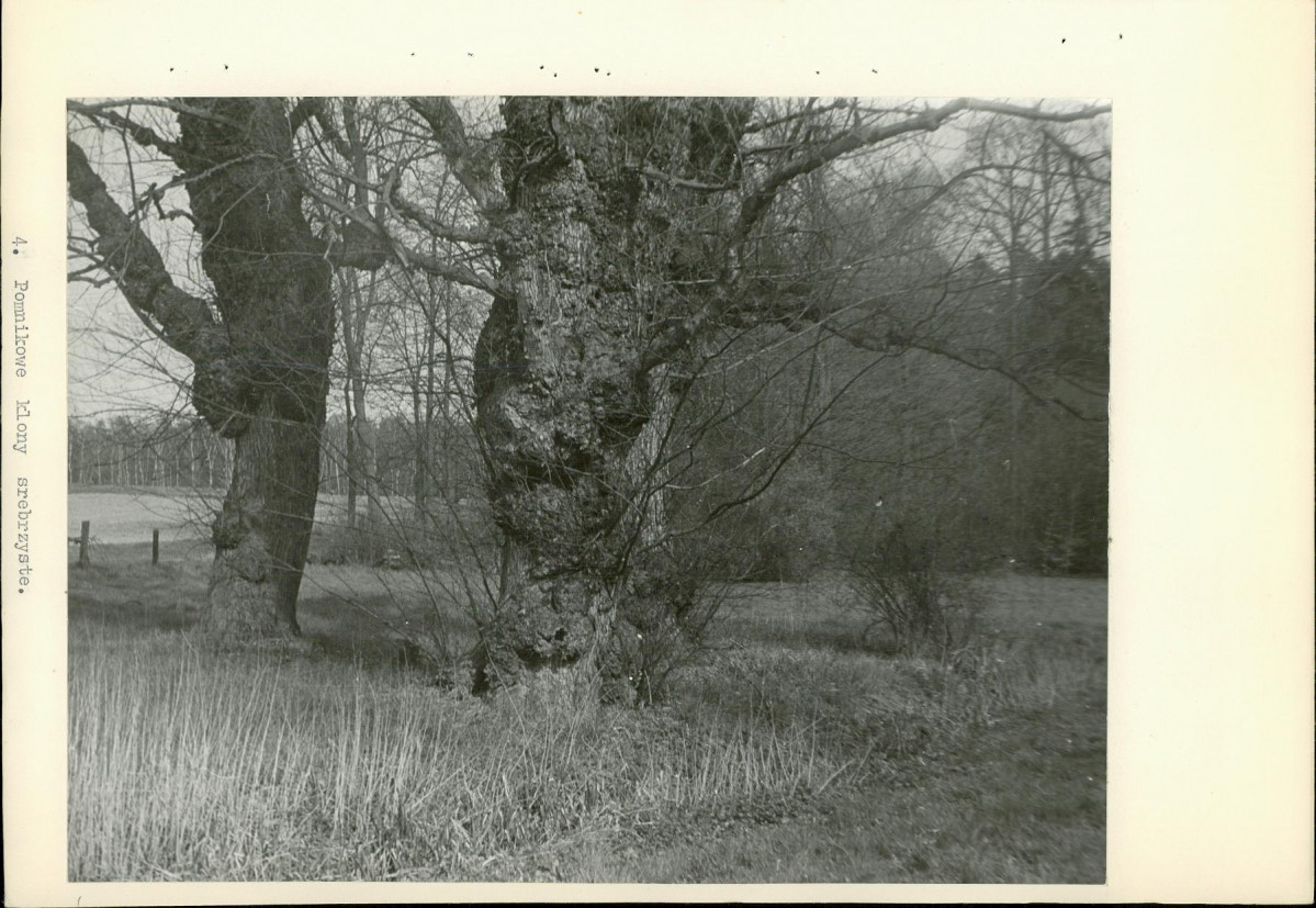 Ewidencja parkowa, skan nr 18