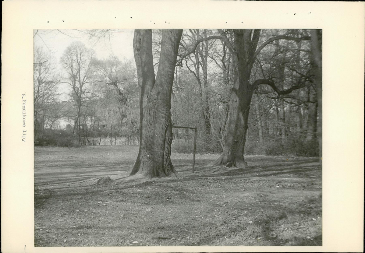 Ewidencja parkowa, skan nr 20