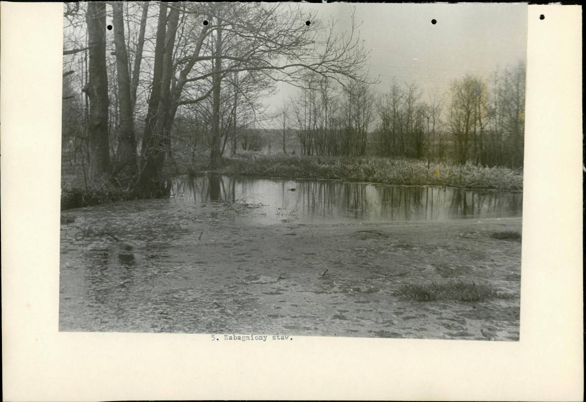 Ewidencja parkowa, skan nr 19