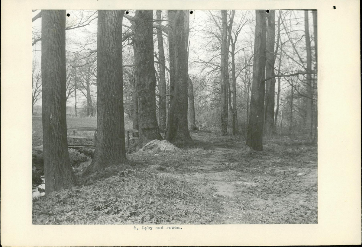 Ewidencja parkowa, skan nr 20