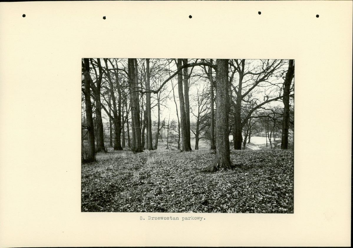 Ewidencja parkowa, skan nr 21