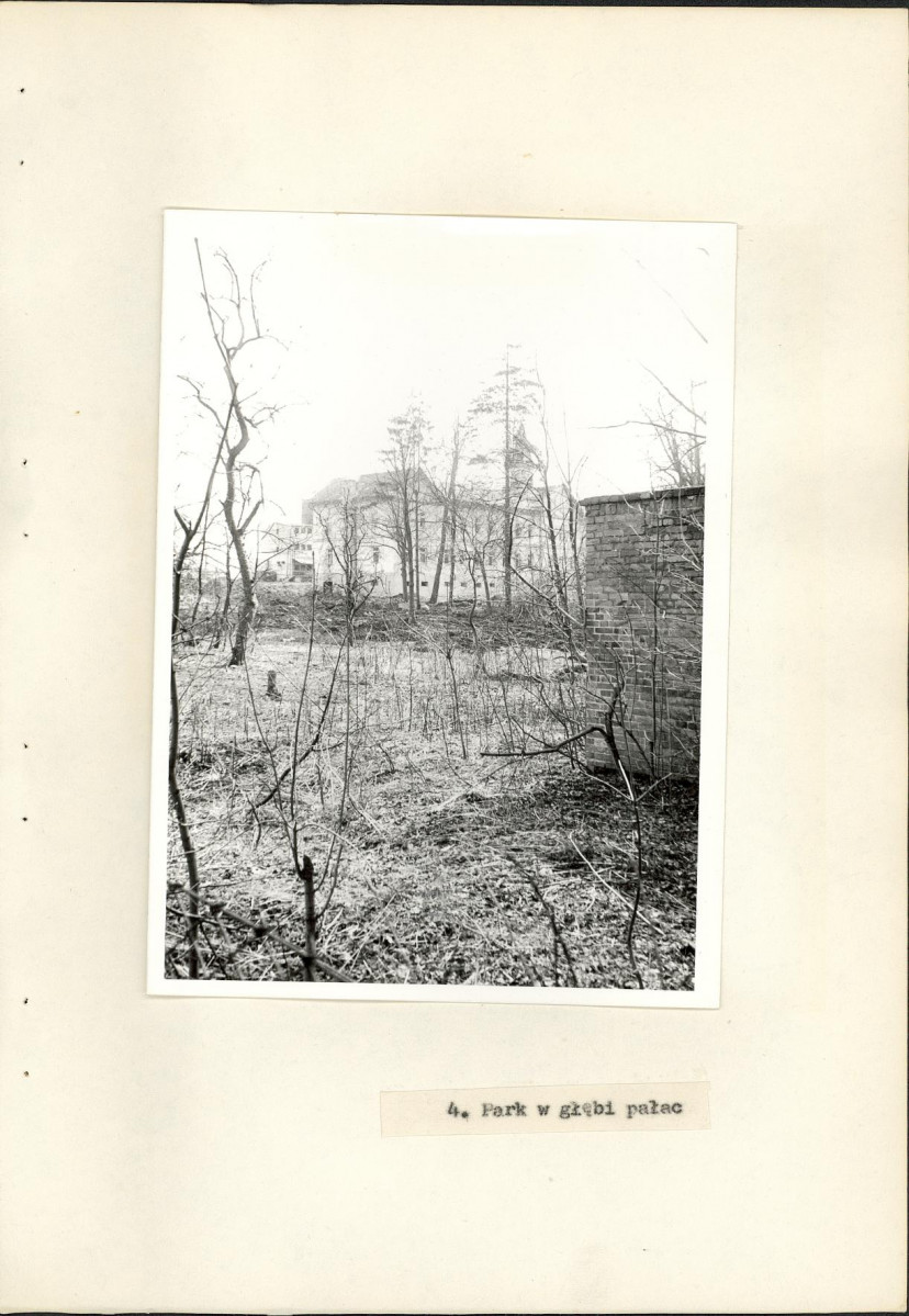 Ewidencja parkowa, skan nr 25