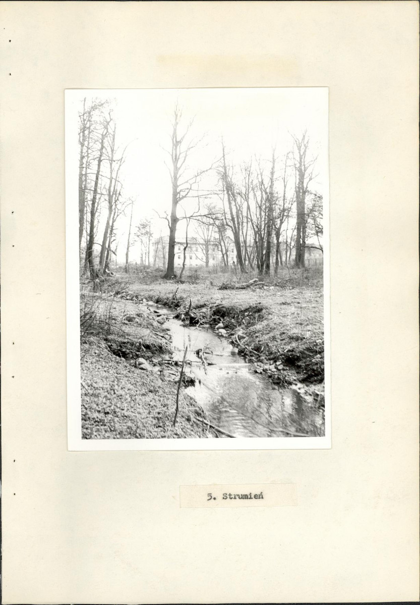 Ewidencja parkowa, skan nr 26