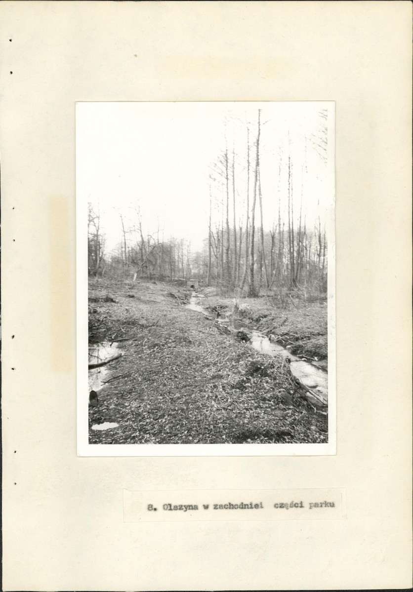 Ewidencja parkowa, skan nr 29