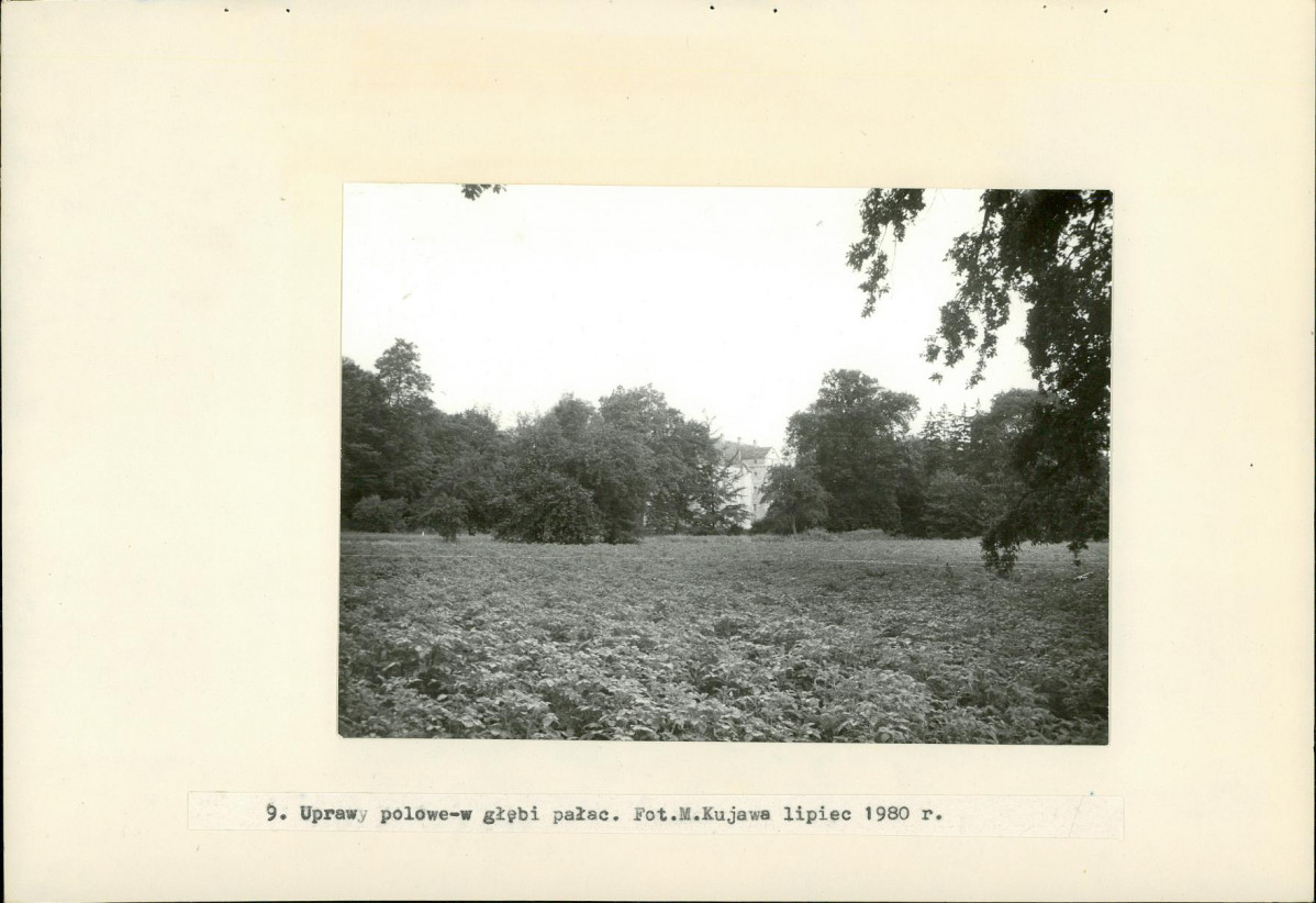 Ewidencja parkowa, skan nr 34