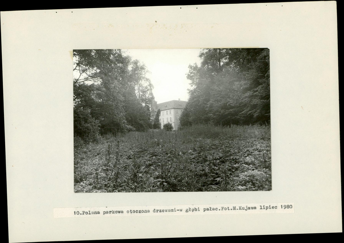 Ewidencja parkowa, skan nr 35
