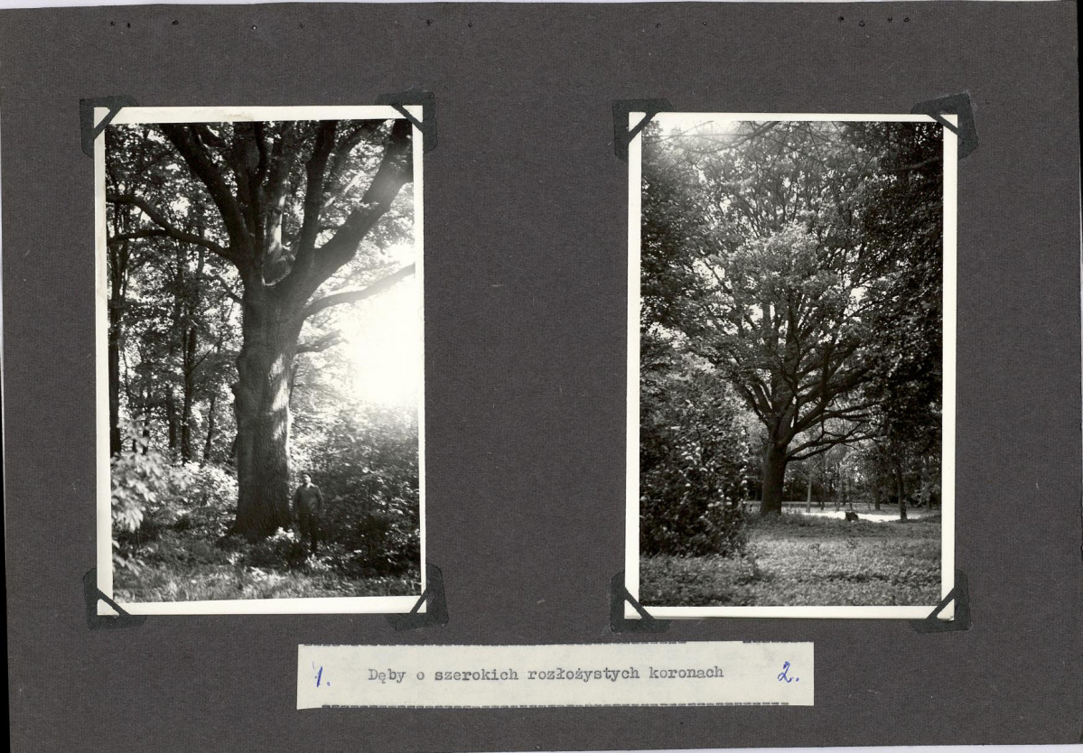 Ewidencja parkowa, skan nr 27