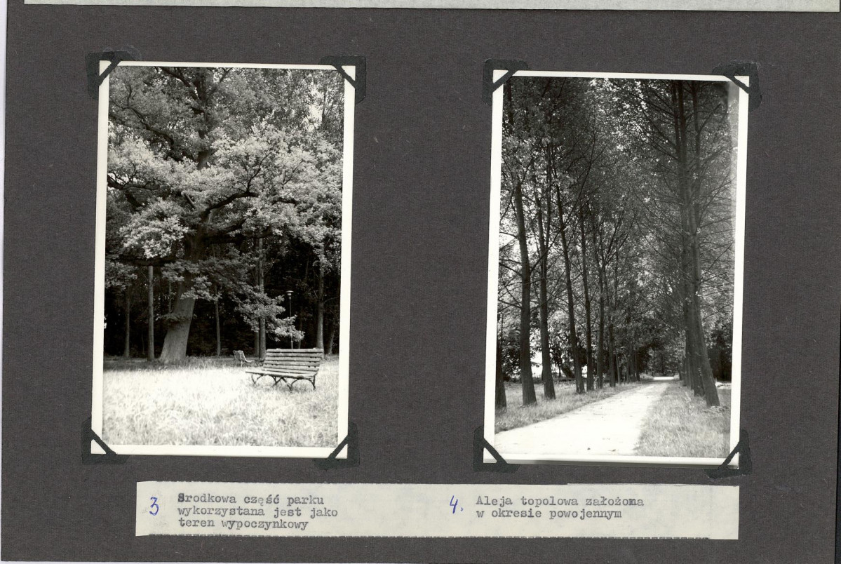 Ewidencja parkowa, skan nr 28