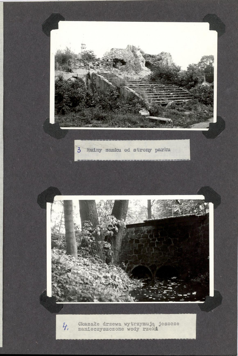 Ewidencja parkowa, skan nr 23