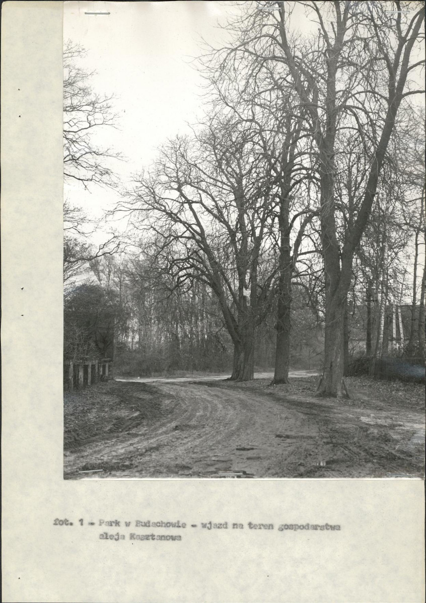 Ewidencja parkowa, skan nr 15