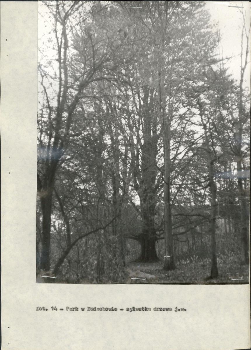 Ewidencja parkowa, skan nr 28