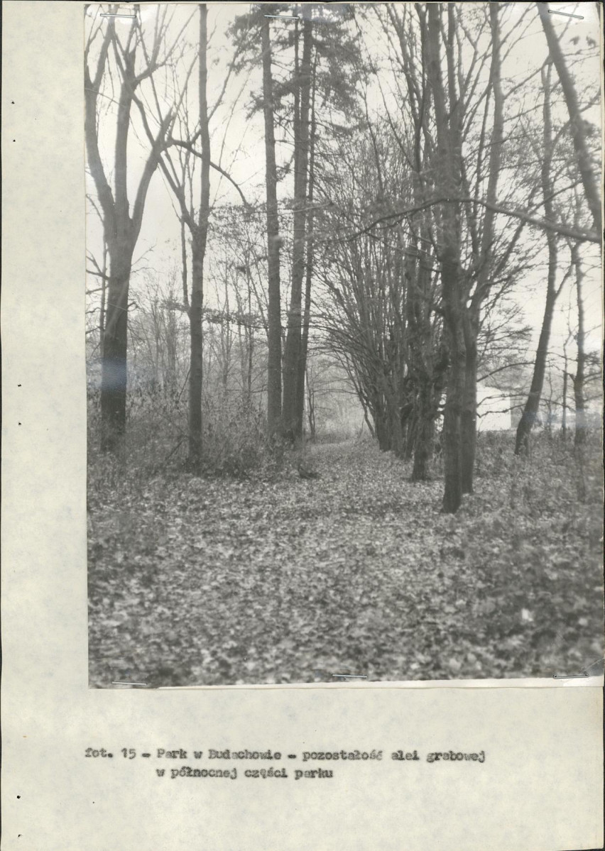 Ewidencja parkowa, skan nr 29