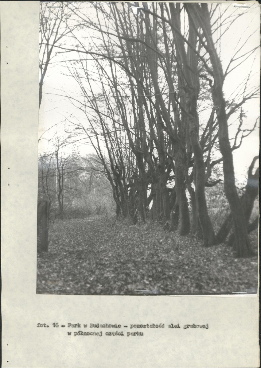 Ewidencja parkowa, skan nr 30