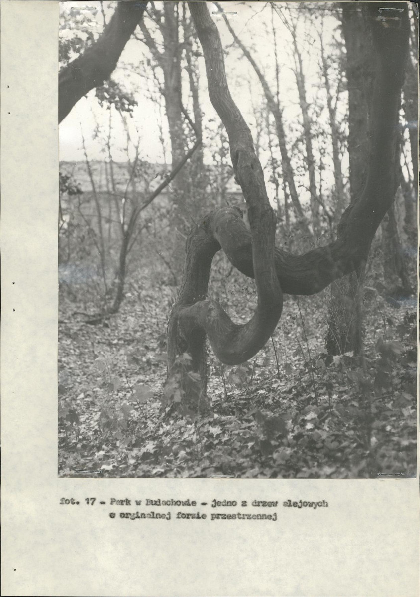 Ewidencja parkowa, skan nr 31