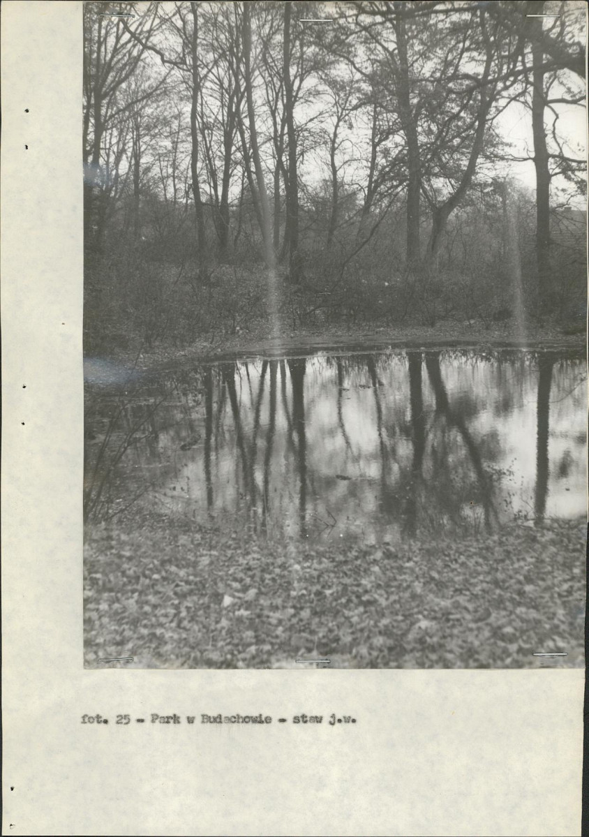 Ewidencja parkowa, skan nr 39