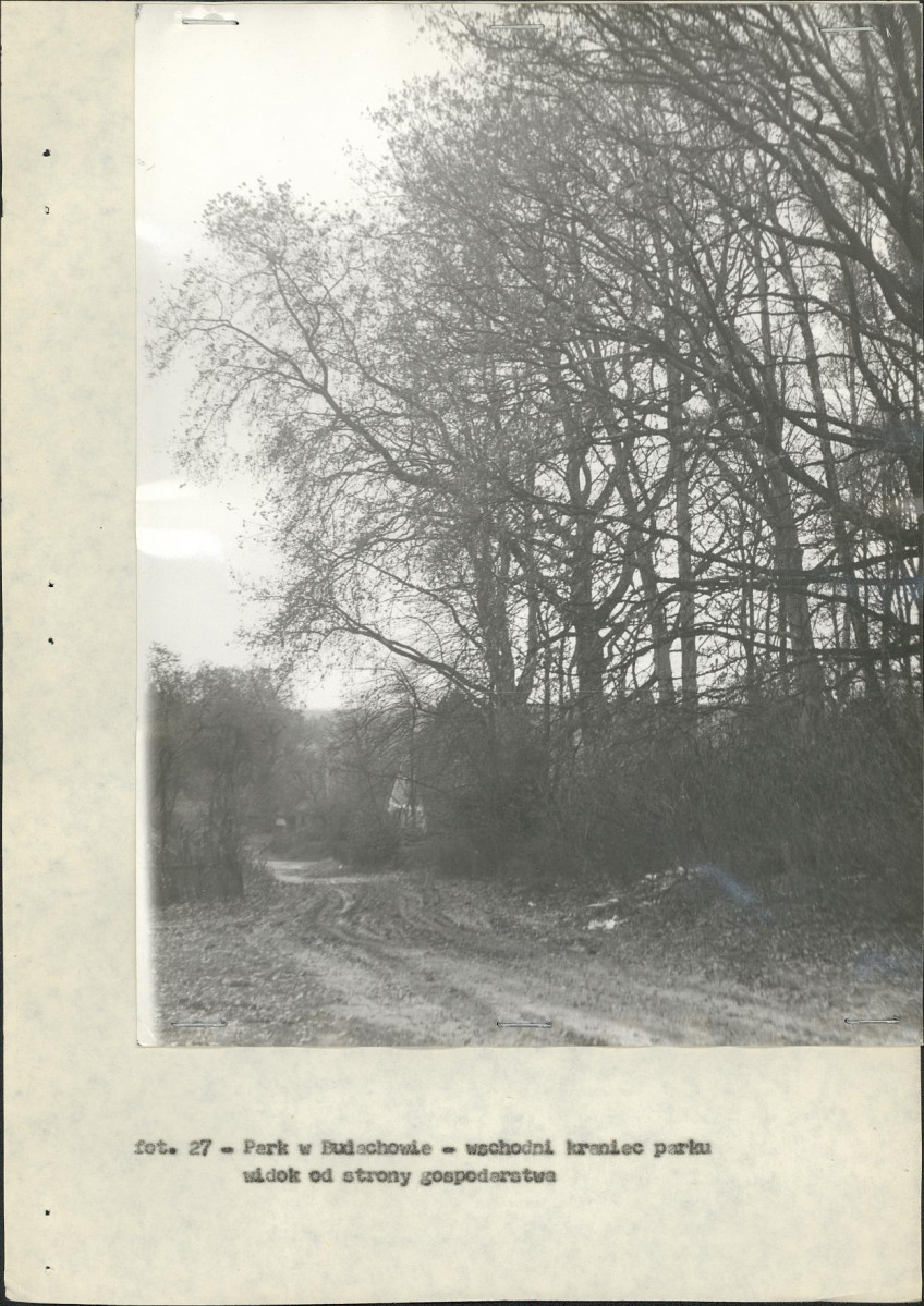 Ewidencja parkowa, skan nr 41