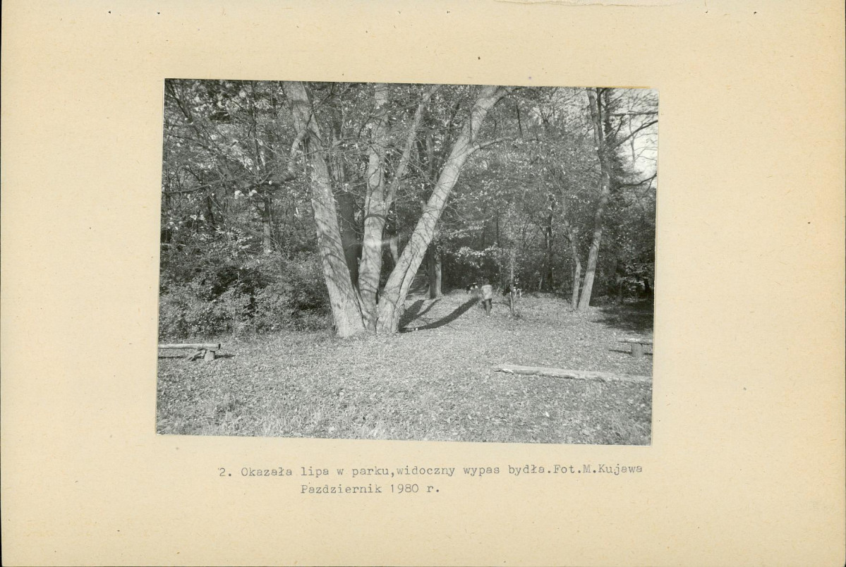 Ewidencja parkowa, skan nr 17