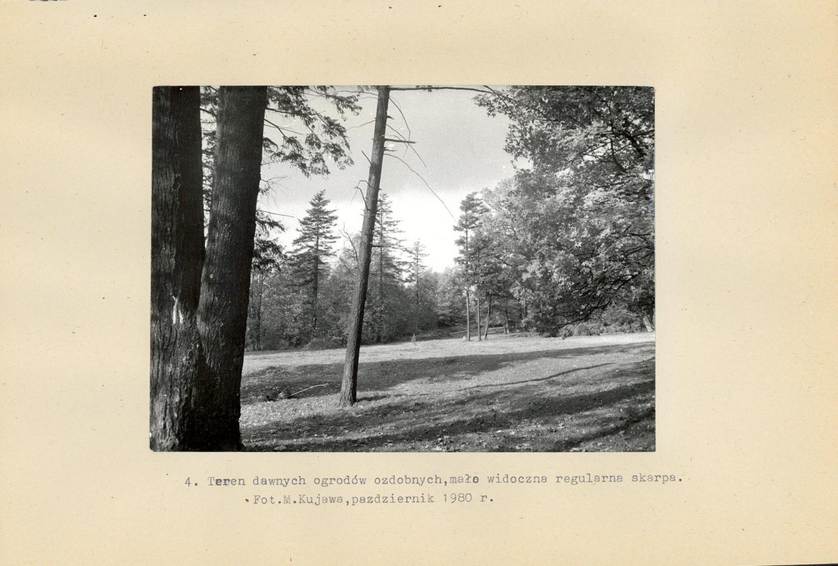 Ewidencja parkowa, skan nr 19
