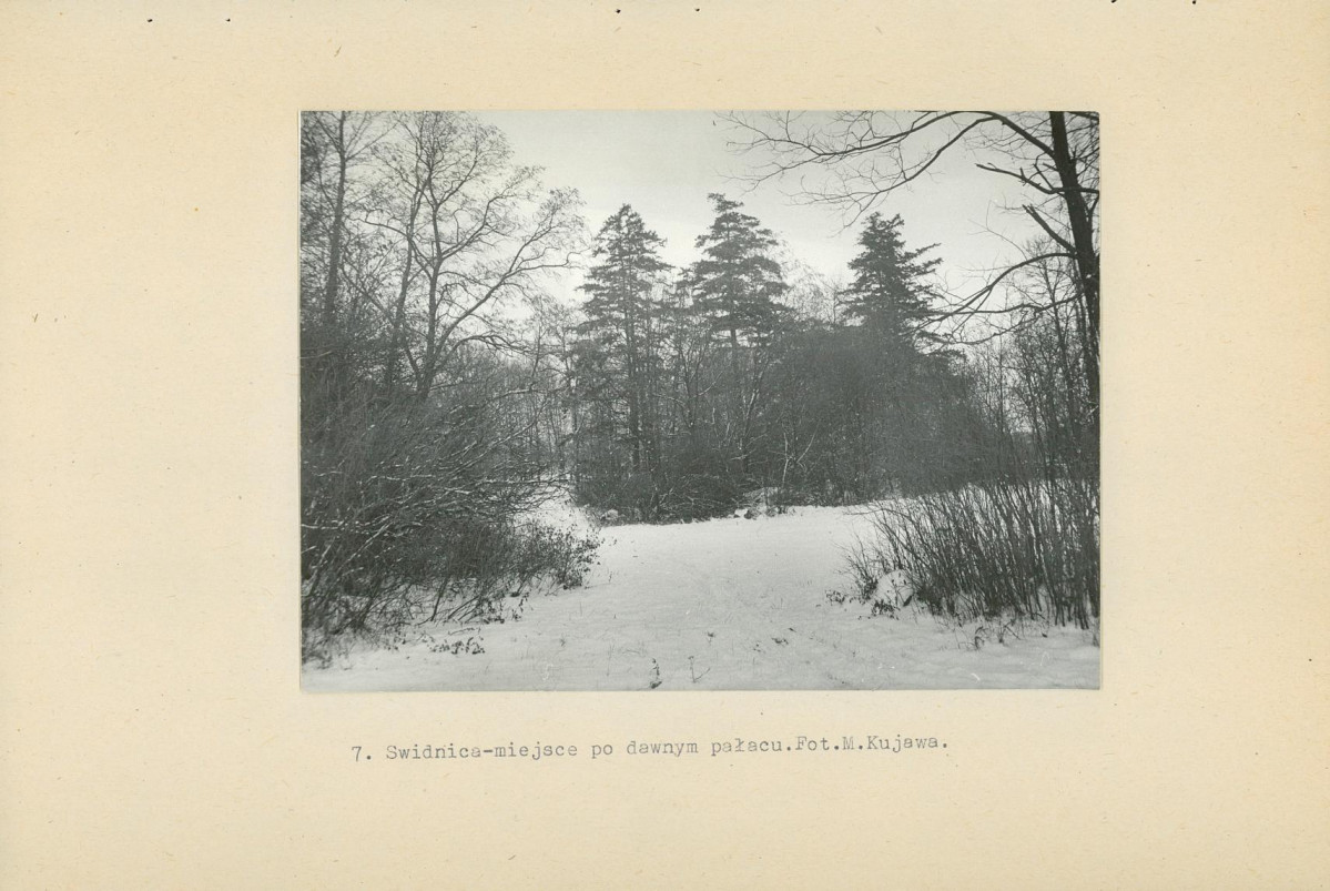 Ewidencja parkowa, skan nr 22