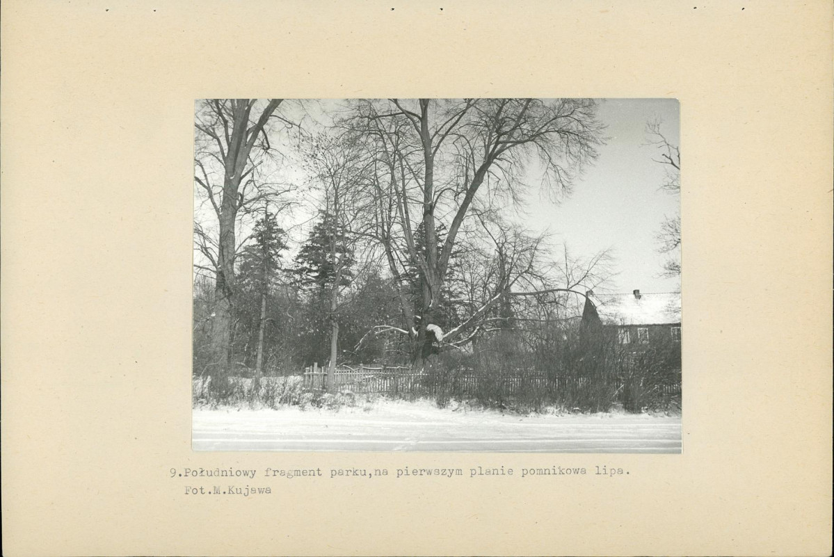 Ewidencja parkowa, skan nr 24
