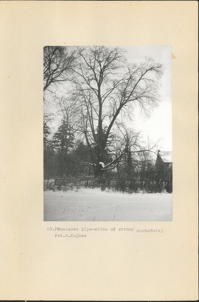 Ewidencja parkowa, skan nr 25
