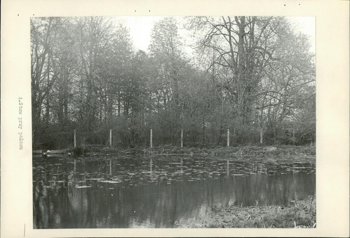 Ewidencja parkowa, skan nr 20