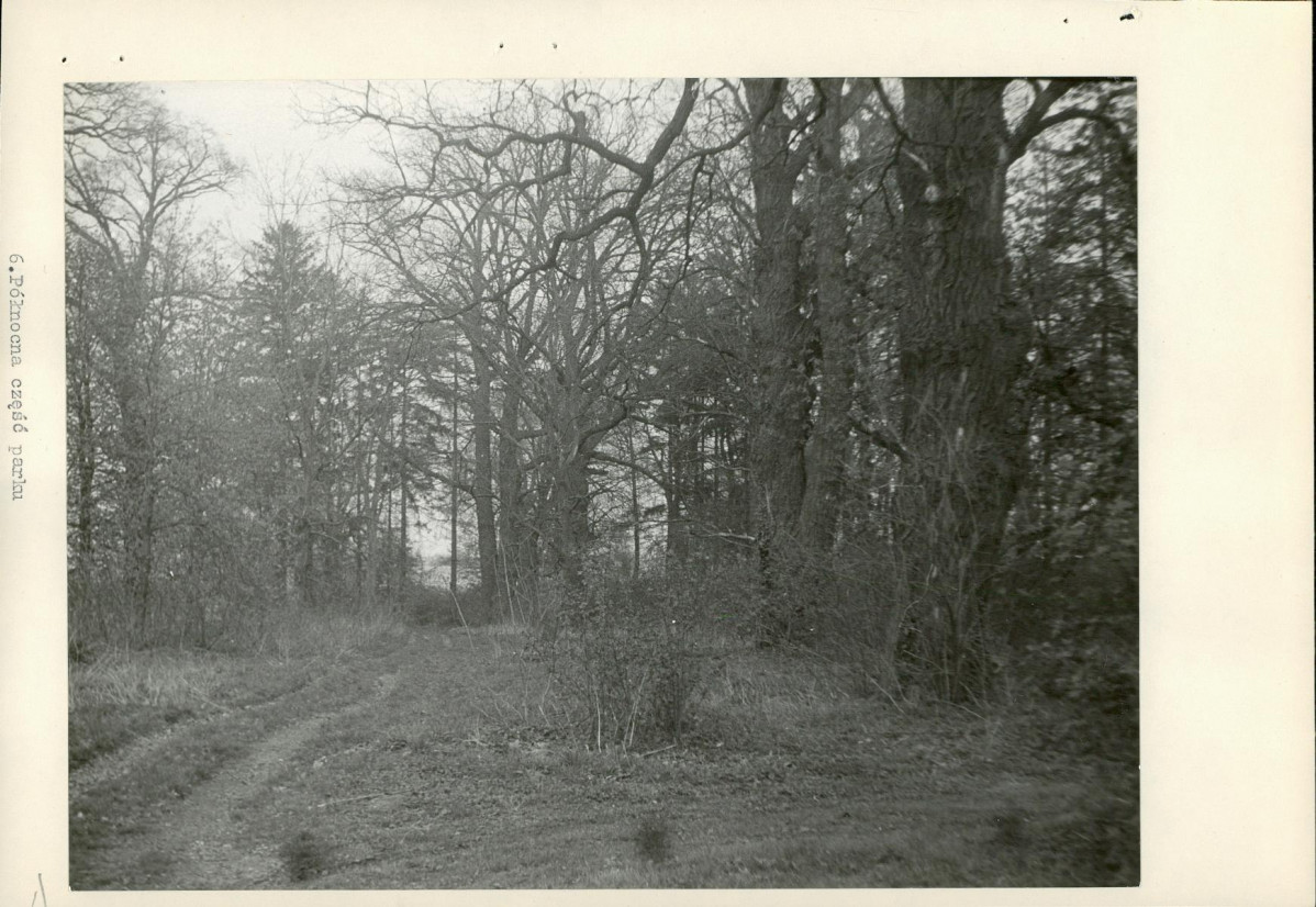 Ewidencja parkowa, skan nr 22