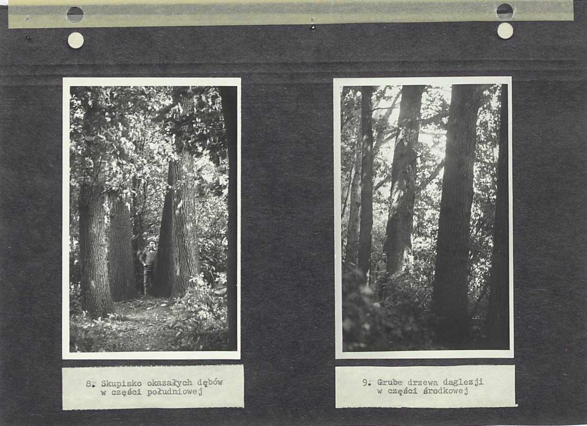 Ewidencja parkowa, skan nr 25