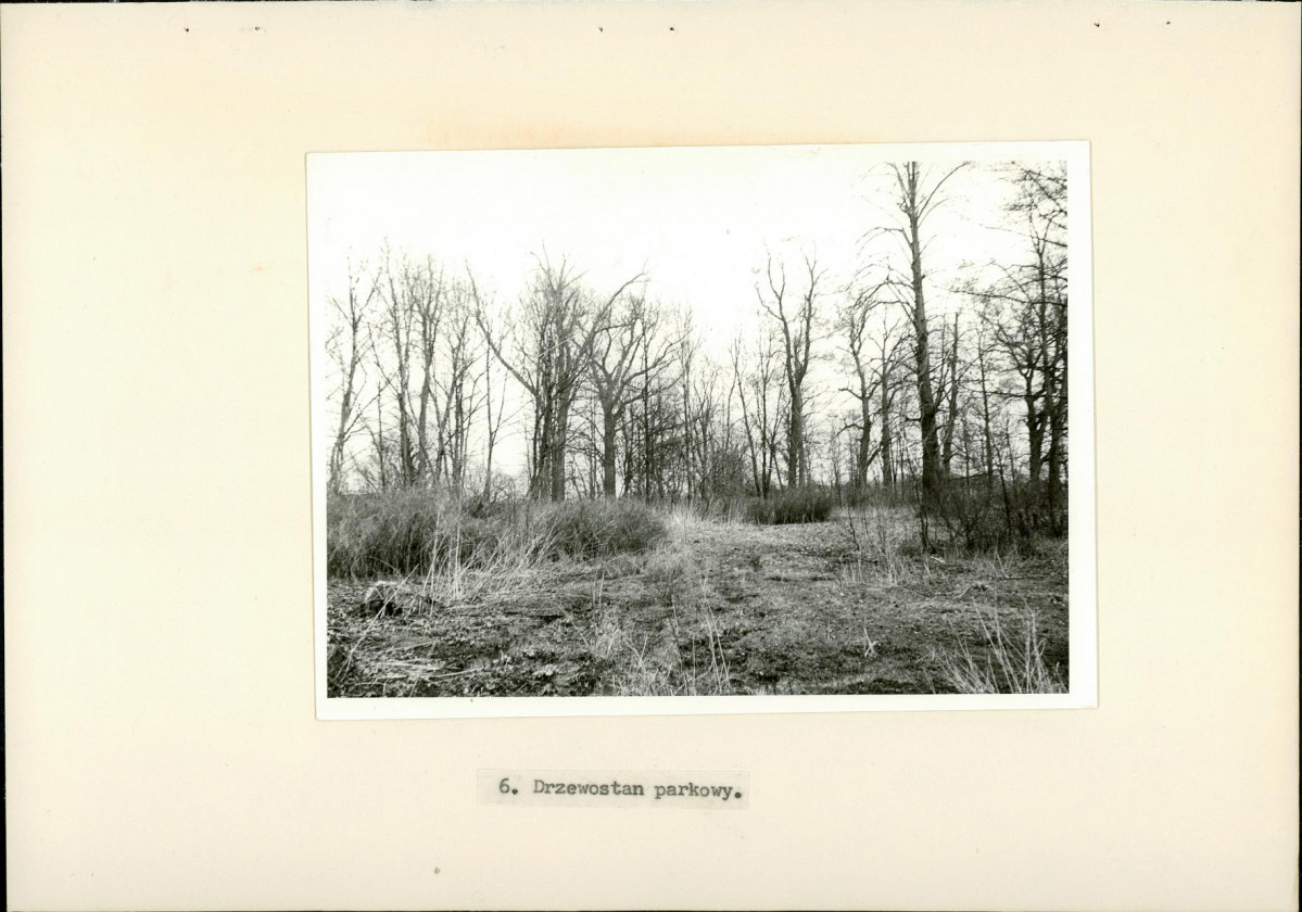 Ewidencja parkowa, skan nr 22
